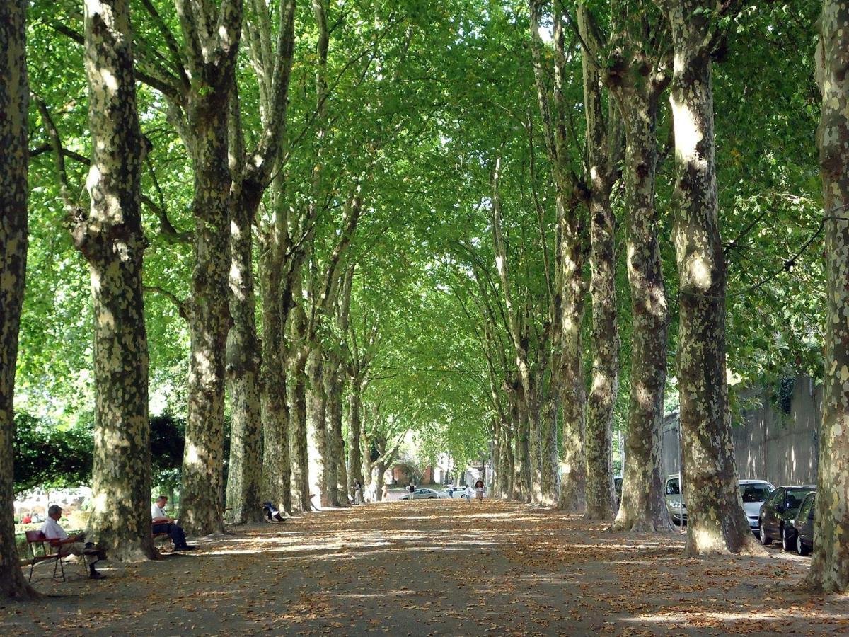 Arca D'Agua Daire Porto Dış mekan fotoğraf